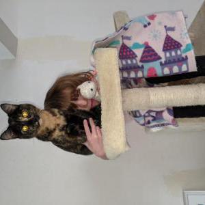 Lost Cat Snowflake