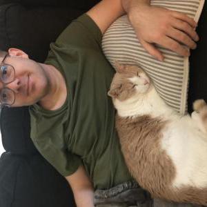 Lost Cat Arthur
