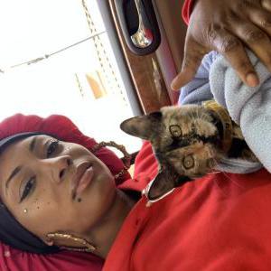 Lost Cat Ece (eh-juh) Yanay