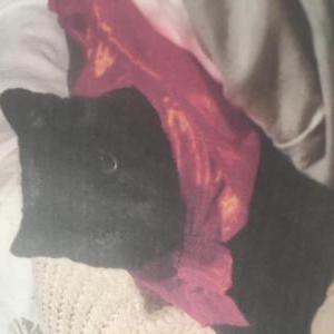 Lost Cat Sabbath
