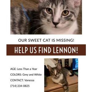 Lost Cat Lennon