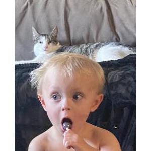 Lost Cat Sage