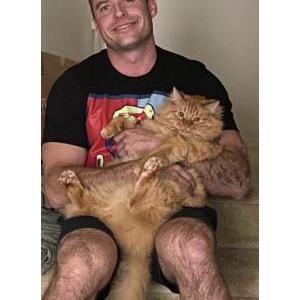 Lost Cat TeeTer